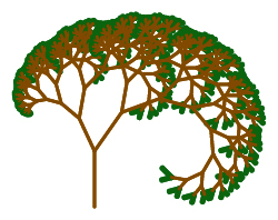 picture of tree