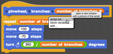 image of pinwheel block definition with right-click drop-down menu showing and mouse over 'script pic...' There is a balloon showing above the pointer that says, 'open a new window with a picture of this script'